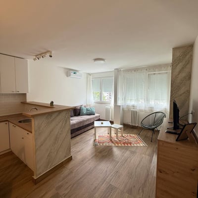 Alquiler de un acogedor piso de 2 habitaciones, 46 m², en el distrito de Vračar, Belgrado, Serbia